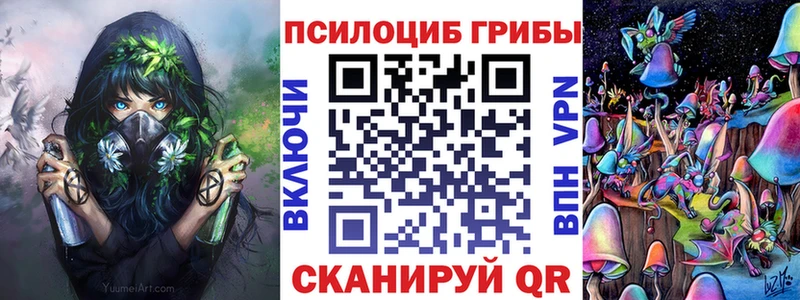 дарнет шоп  Ставрополь  mega сайт  Галлюциногенные грибы Cubensis 